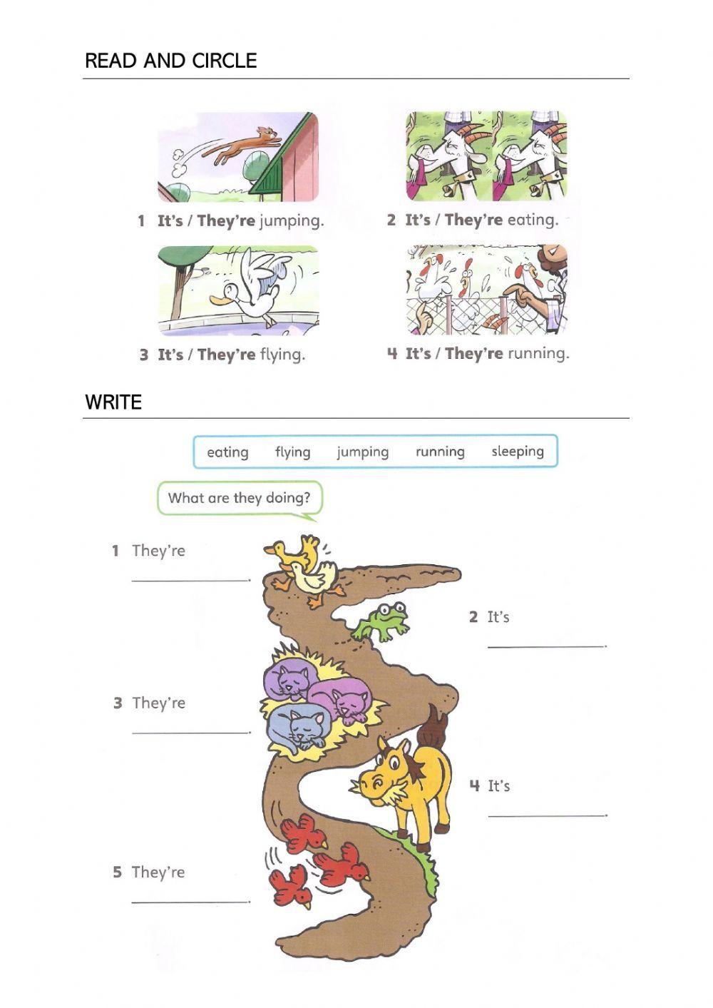 Practice - On the Farm