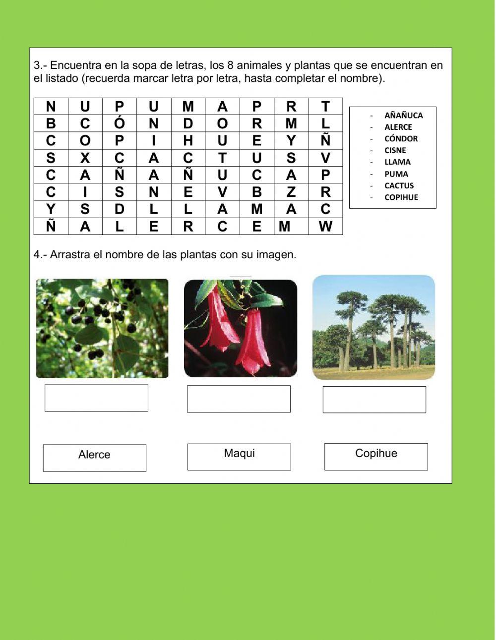 Animales y plantas de Chile