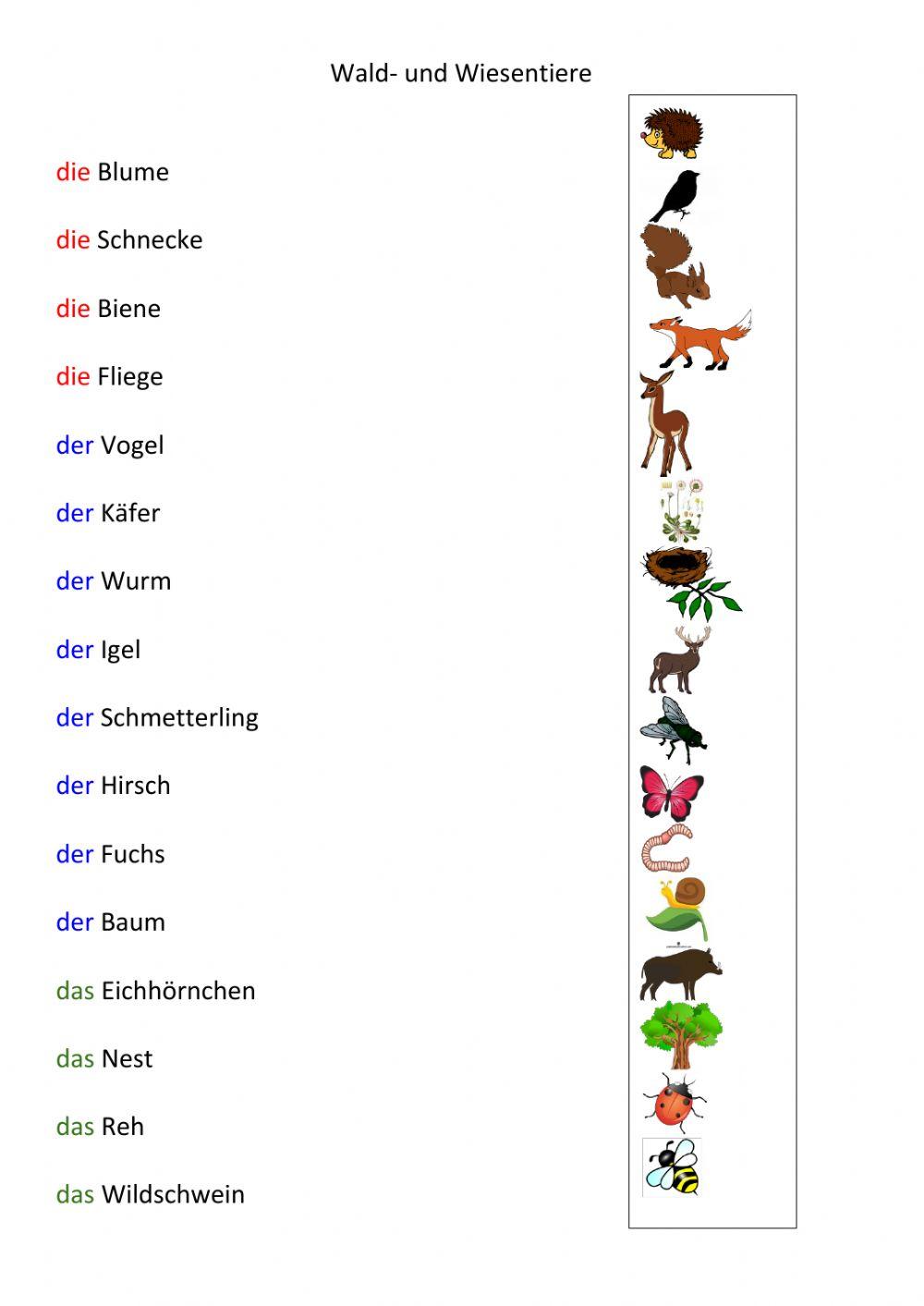 Wiesen- und Waldtiere
