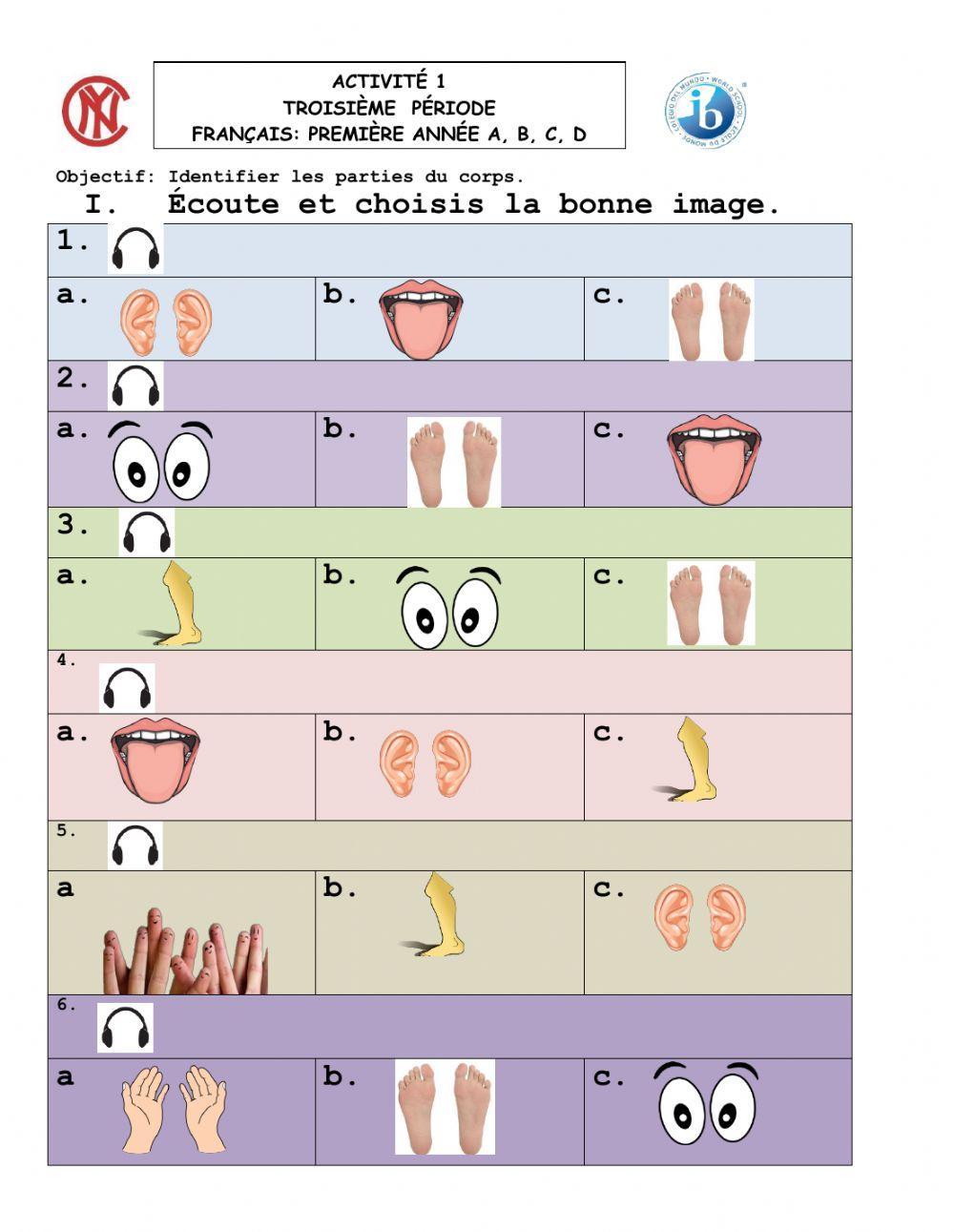 Les parties du corps