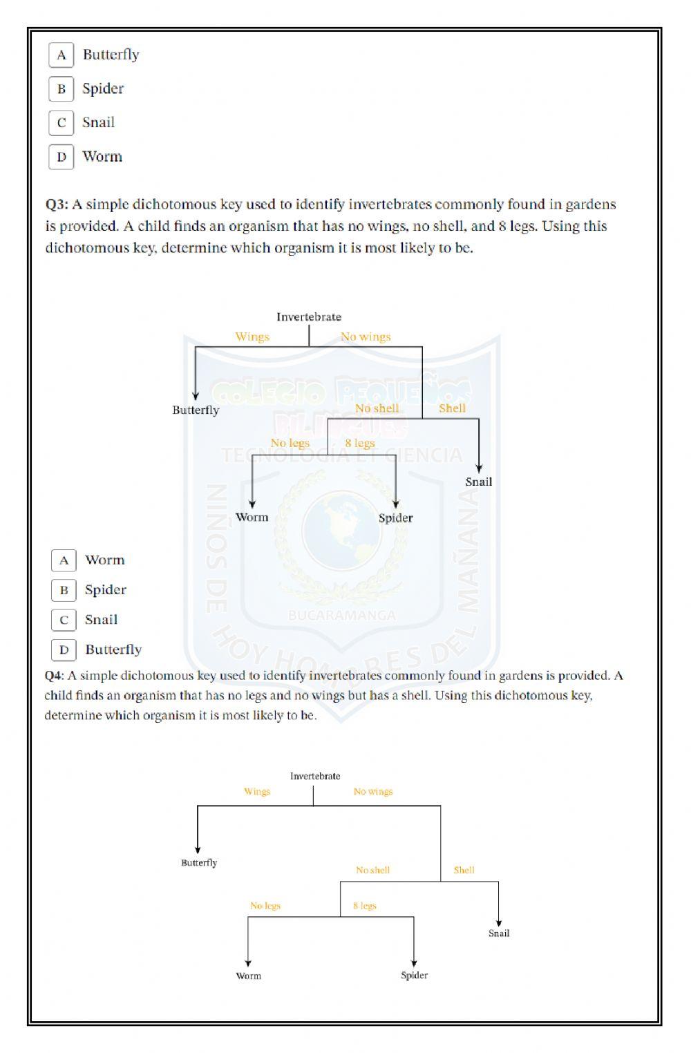 Let-s get to work-dichotomous key-third term-2020