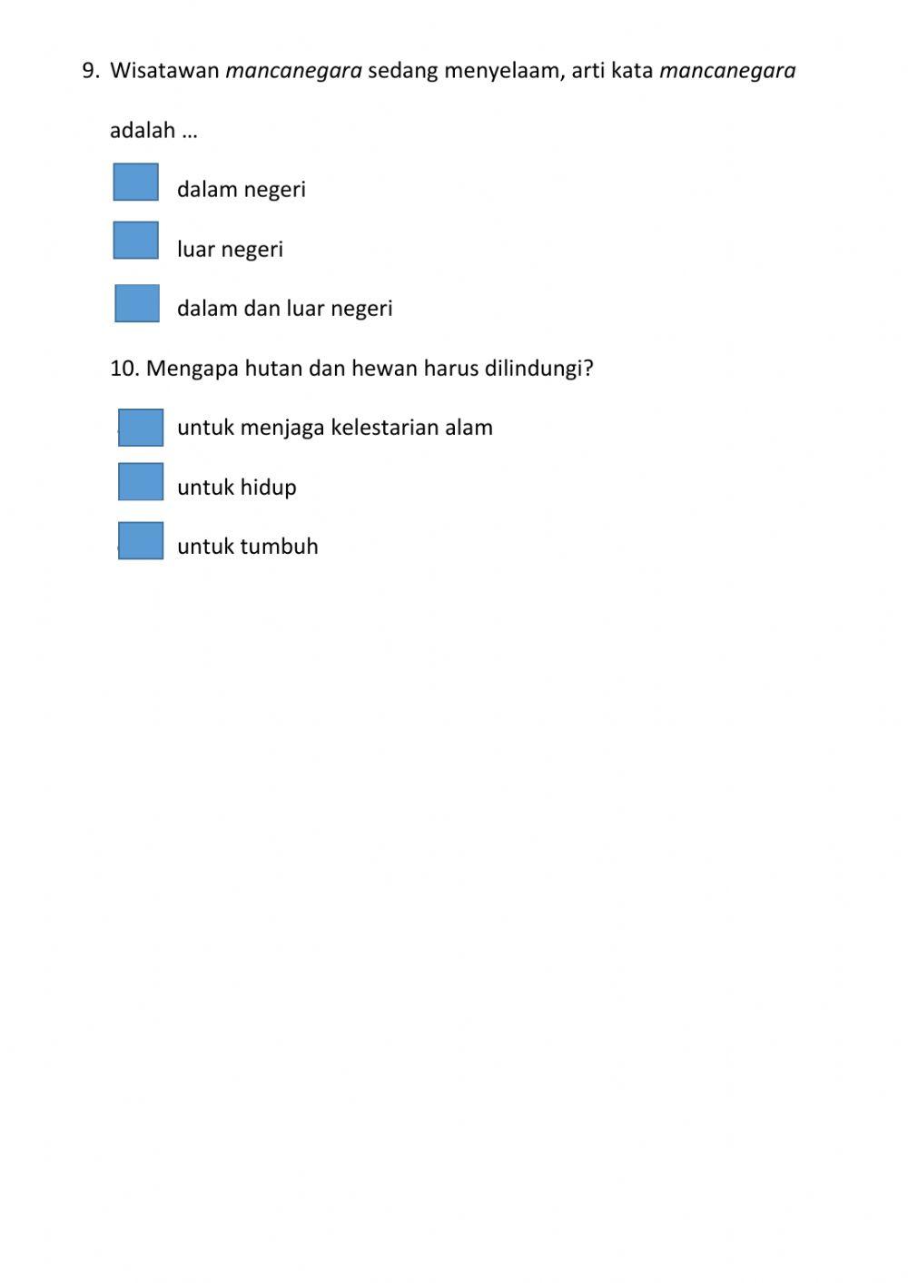 Bahasa Indonesia P3