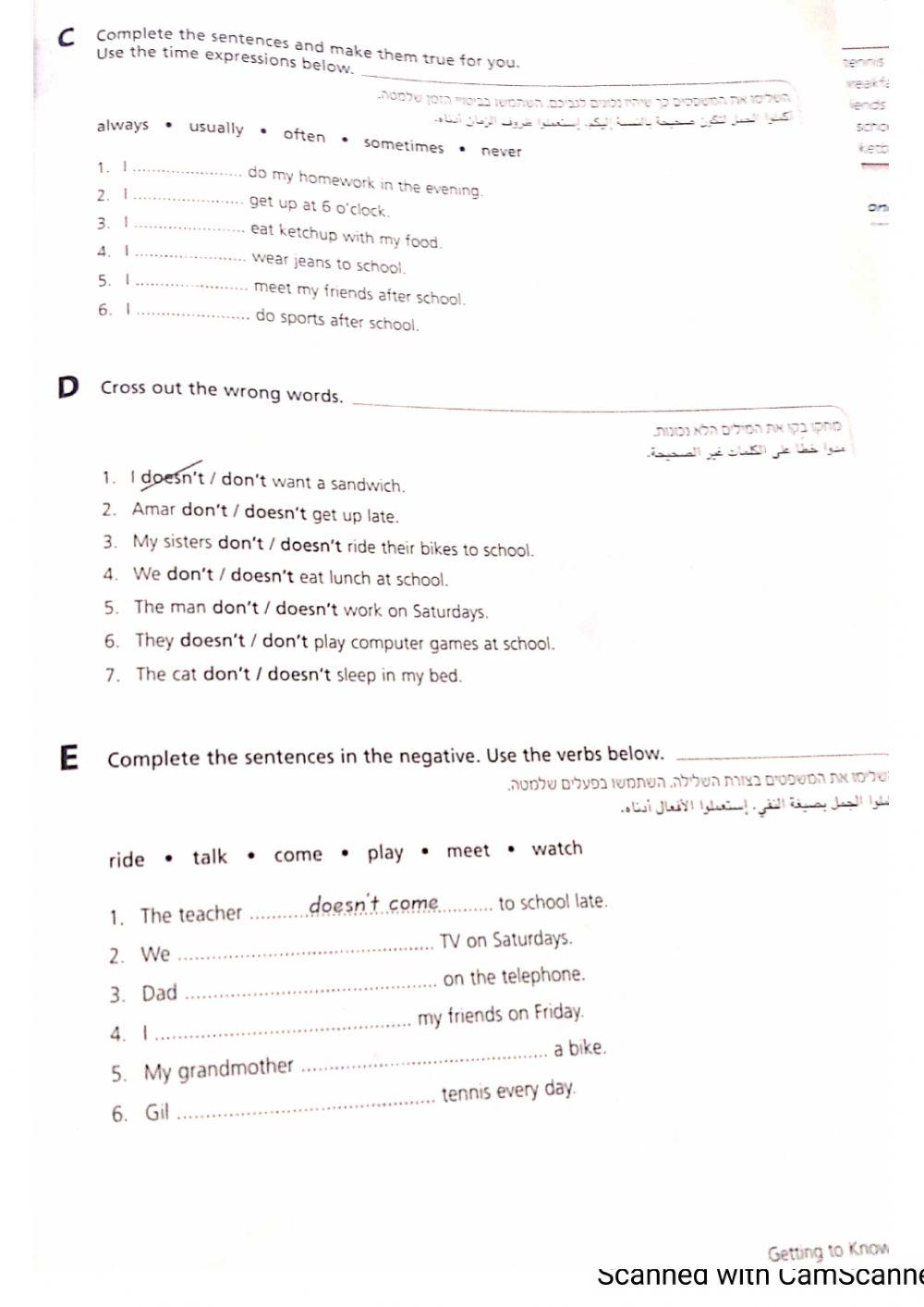 Present Simple 8th grade
