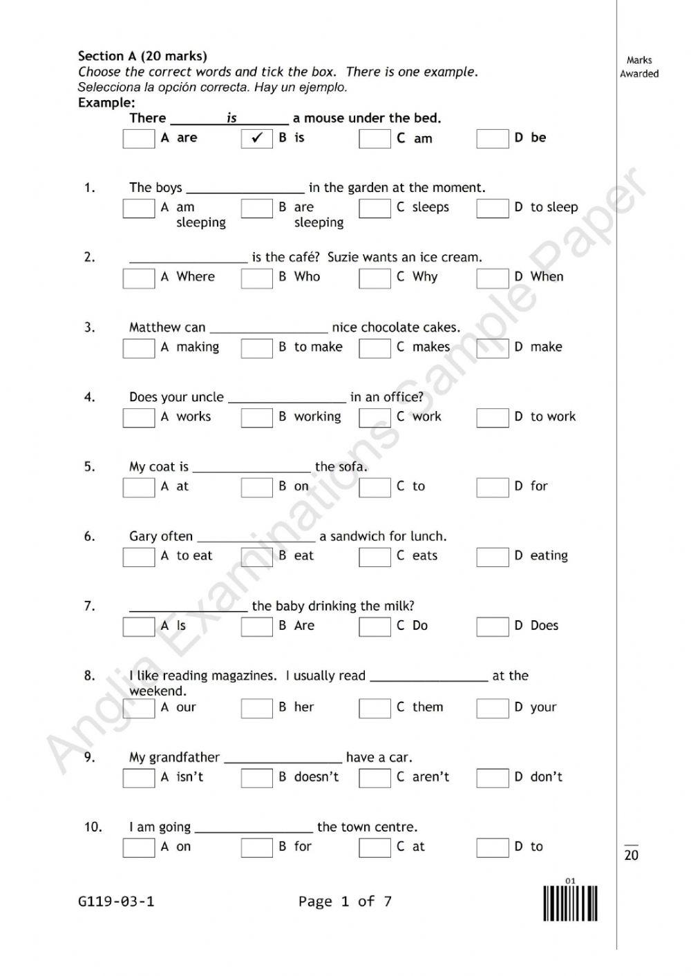 3 Primary Level - Anglia Written Paper GG119