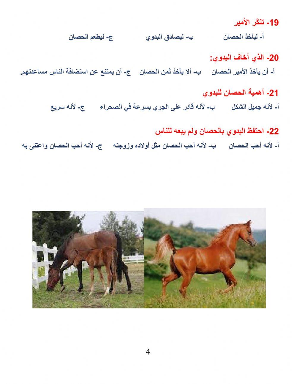 البدوي والحصان