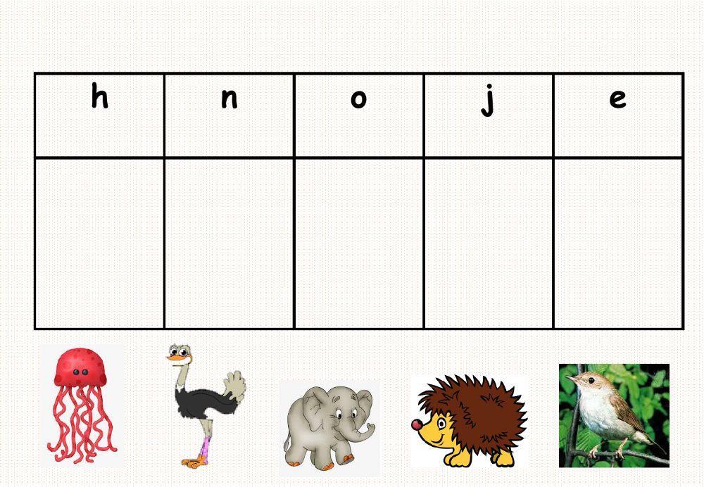 Look, drag and drop the pictures that have the same beginning sound