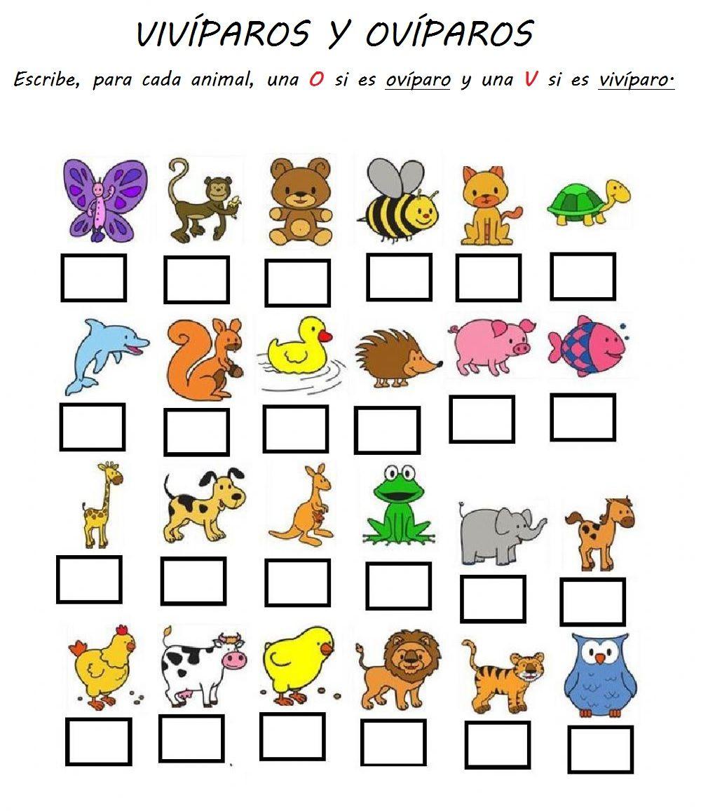 Clasificar animales según nacimiento