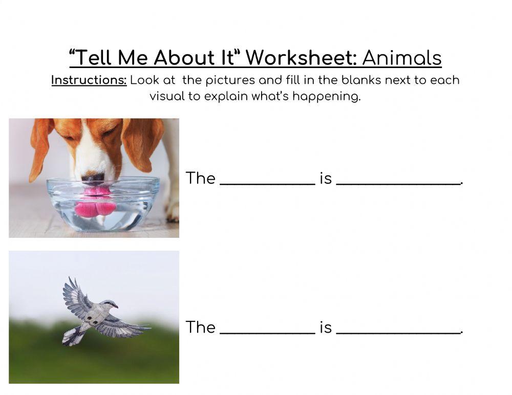-Tell Me About It- Worksheet Animals
