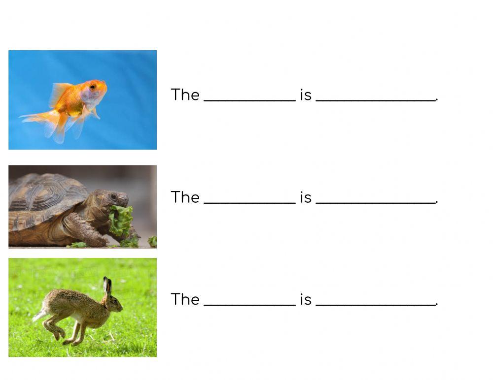-Tell Me About It- Worksheet Animals