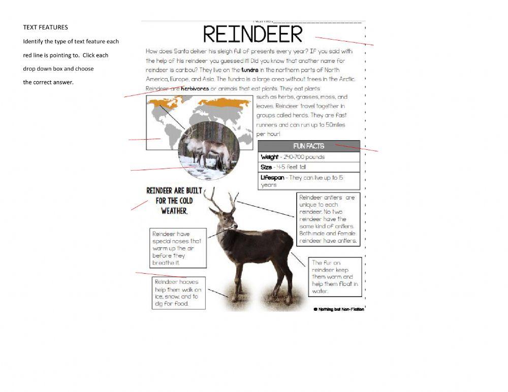 Text Features in Nonfiction passage