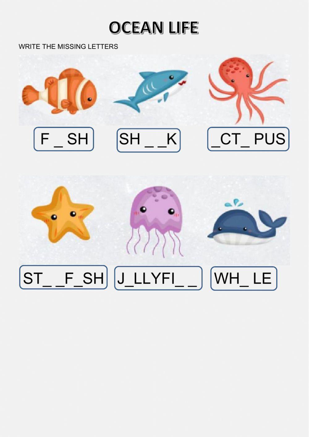 Ocean life Ocean life