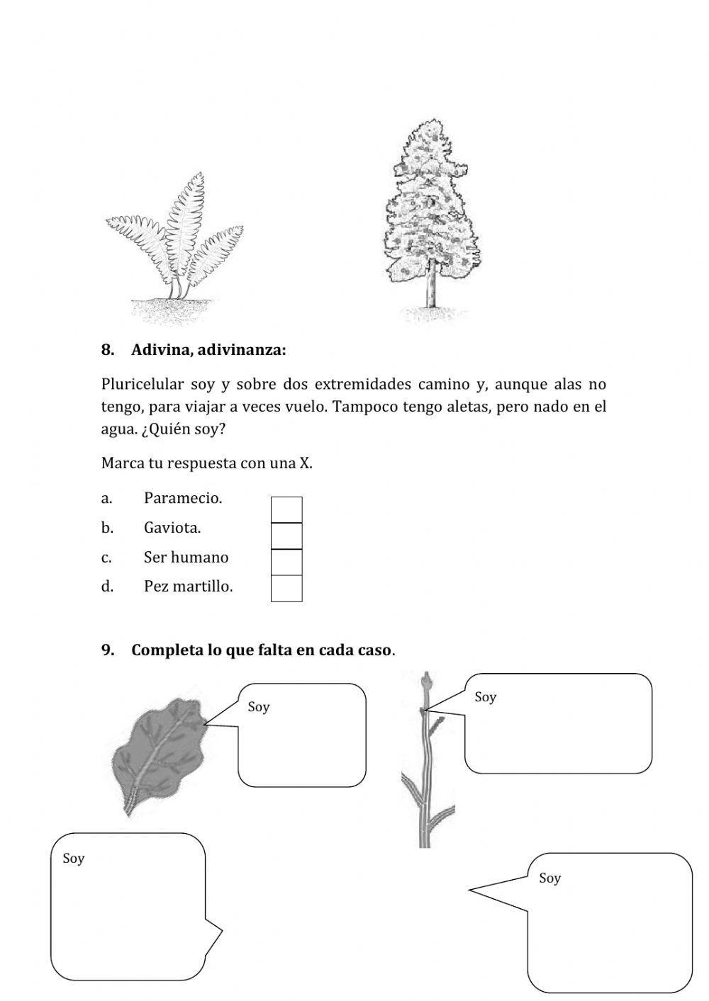 Evaluacion inicial naturales 6º