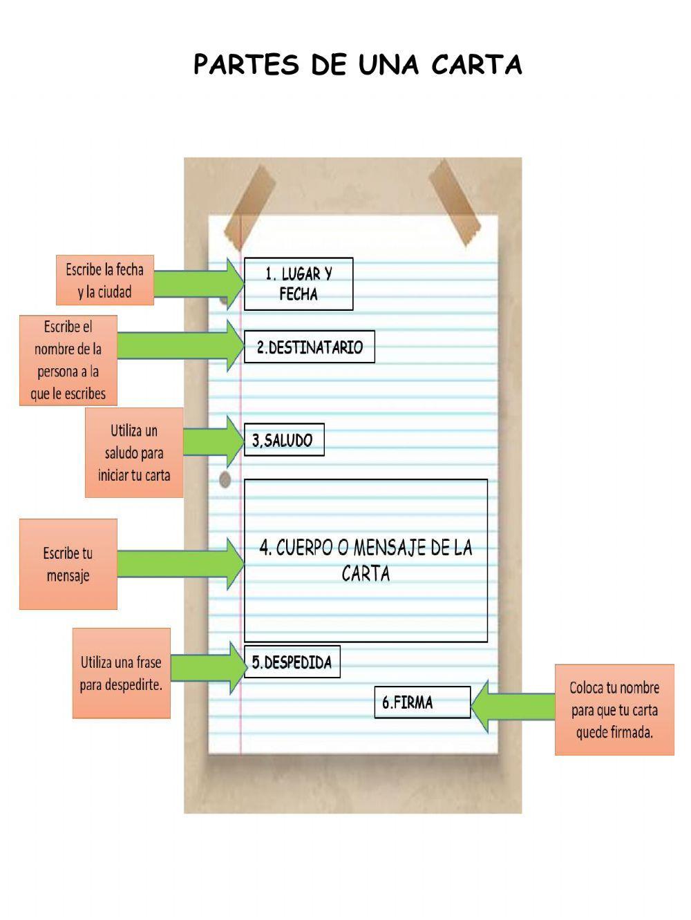 Partes de la carta