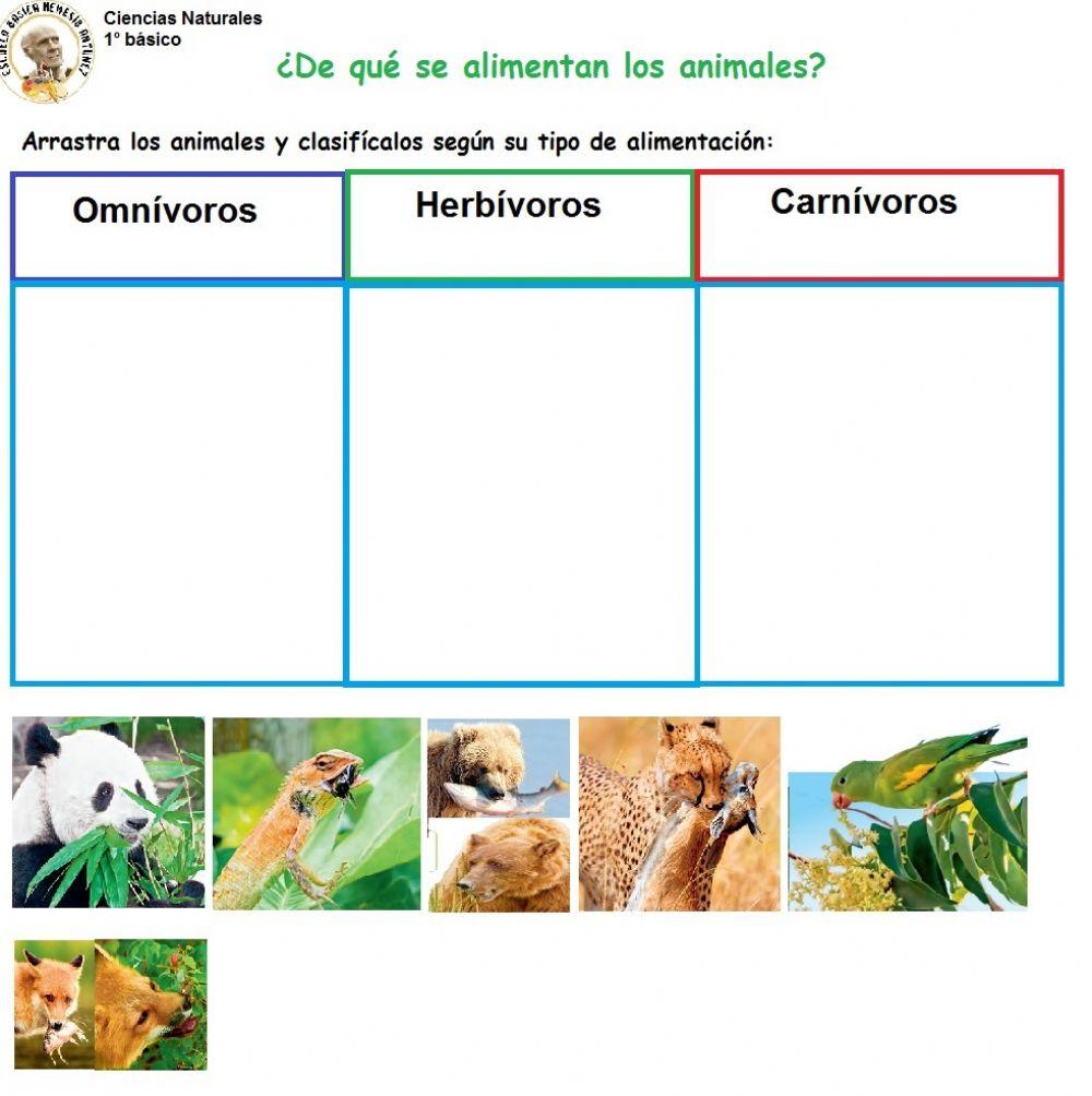 ¿De qué se alimentan los animales?