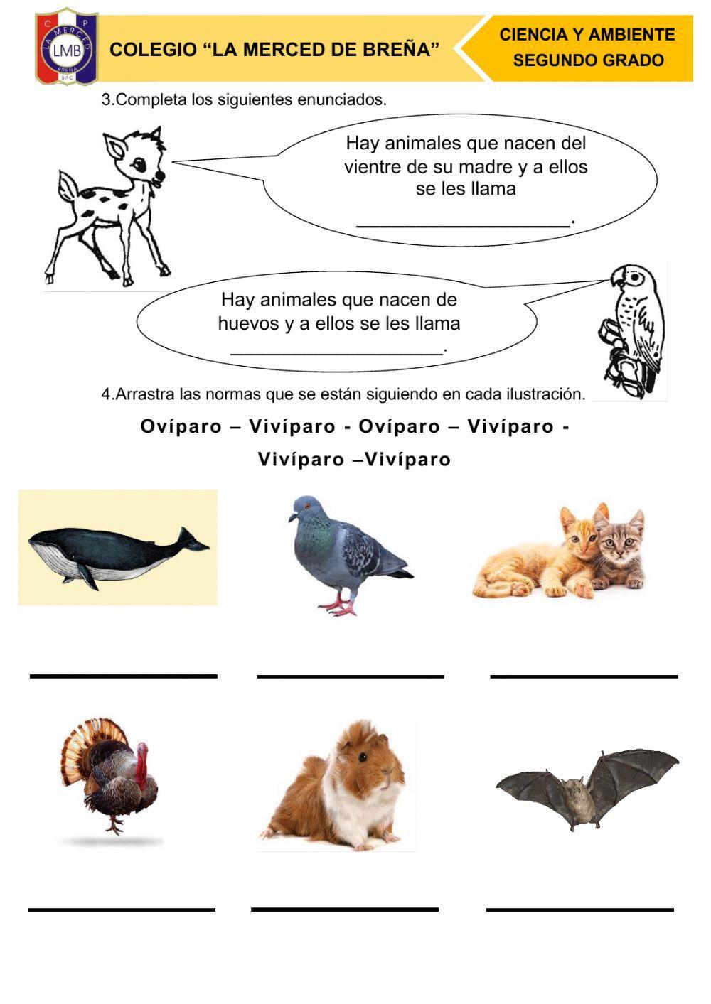 Examen 3er bimestre segundo grado ciencia y ambiente