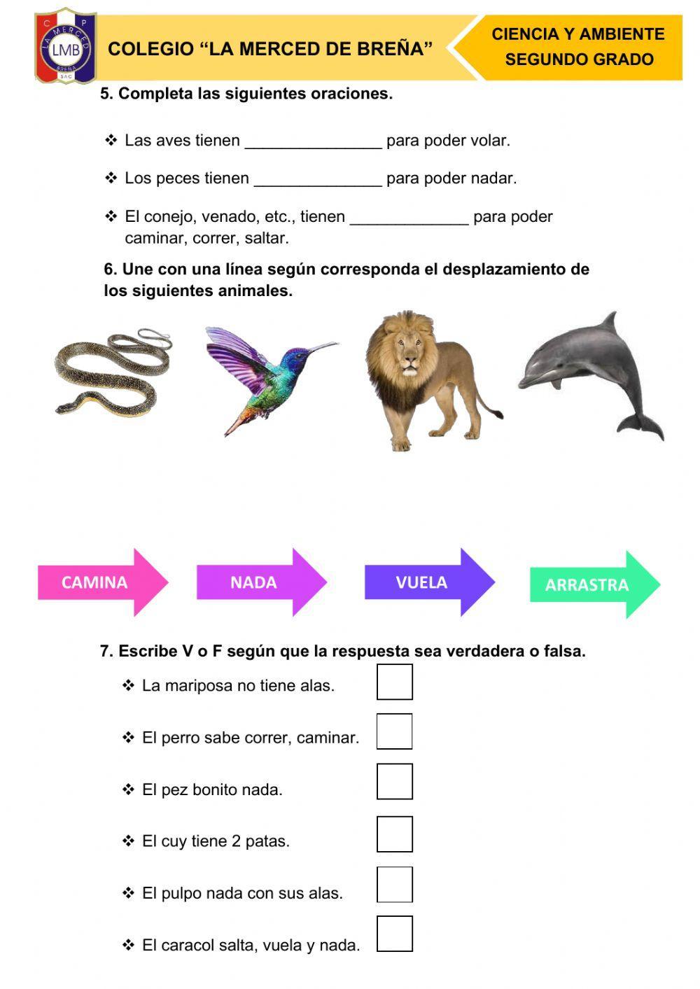 Examen 3er bimestre segundo grado ciencia y ambiente