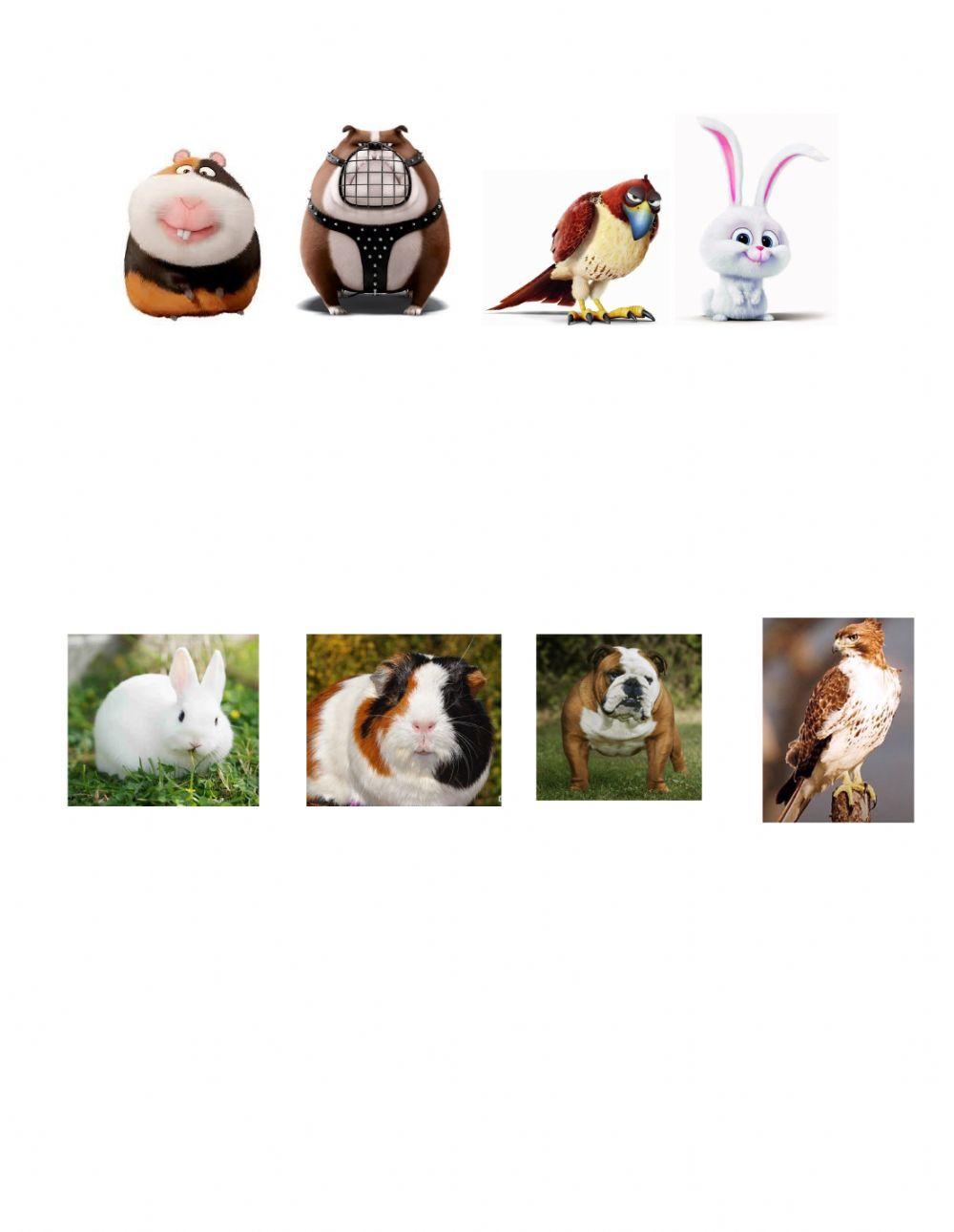 The Secret Life of My Pets - match