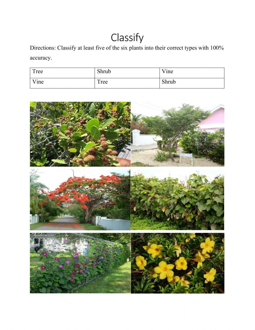 Plant Growth and Responses
