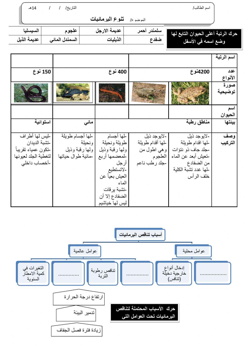 ورقة 5تفاعليةع
