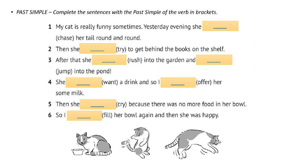 Unit 12 - Past Simple