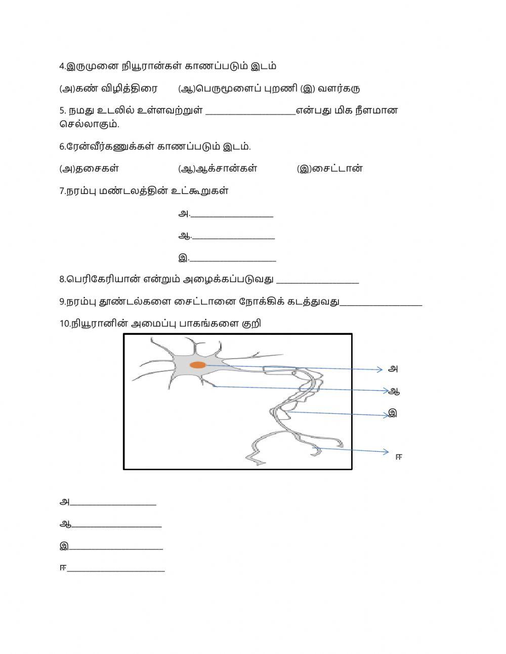நரம்பு மண்டலம்