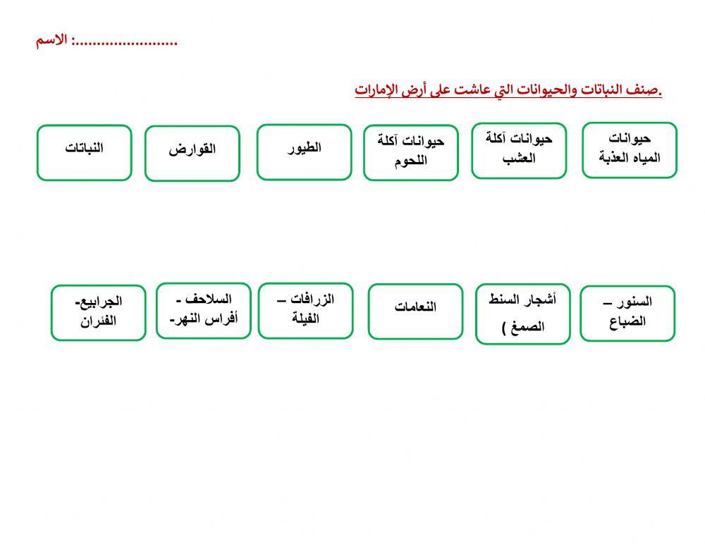 تصنيف الحيوانات والنباتات التي عاشت على أرض الإمارات