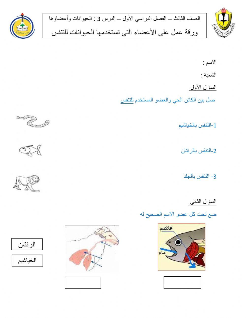 كيف تحصل الحيوانات على الاكسجين للتنفس ؟
