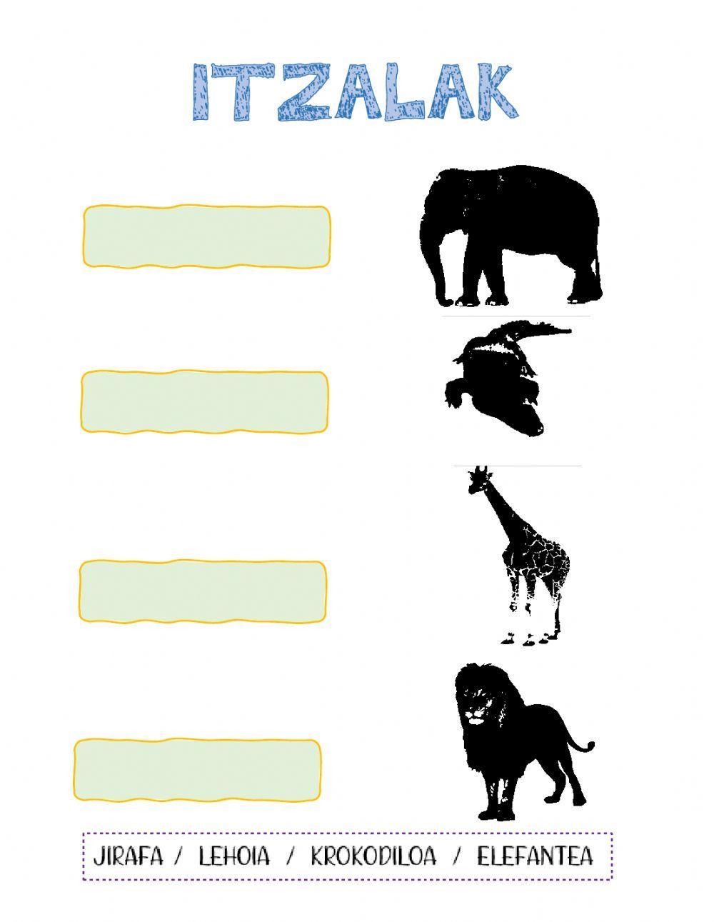 Animaliak eta itzalak