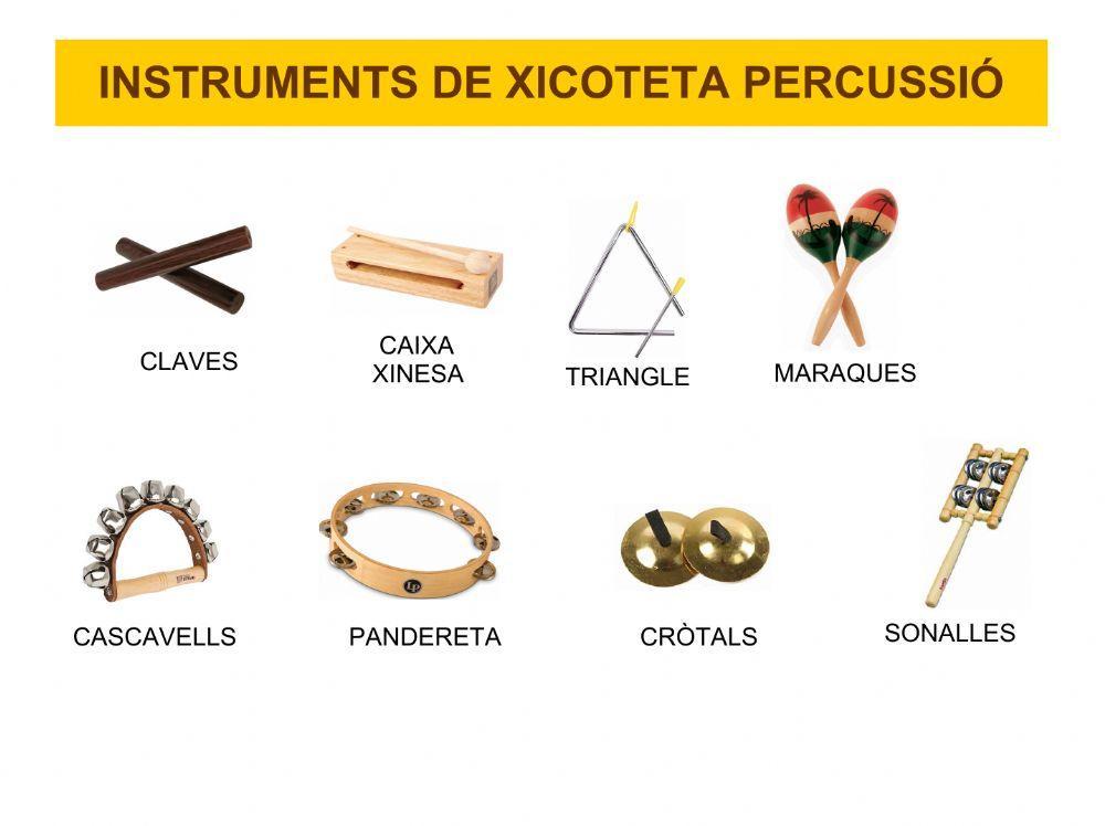 Instruments de xicoteta percussió
