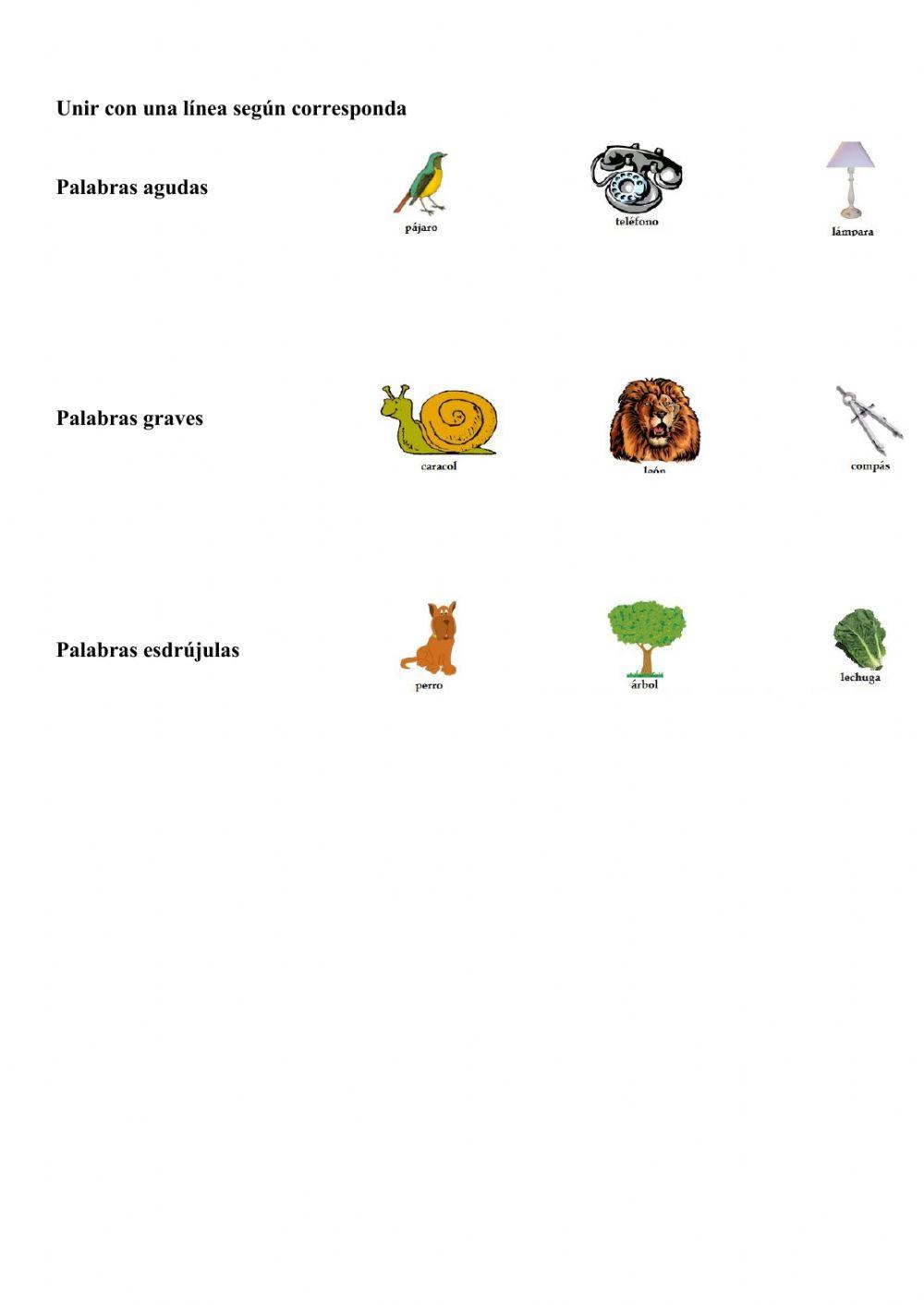 Clasificación de las palabras