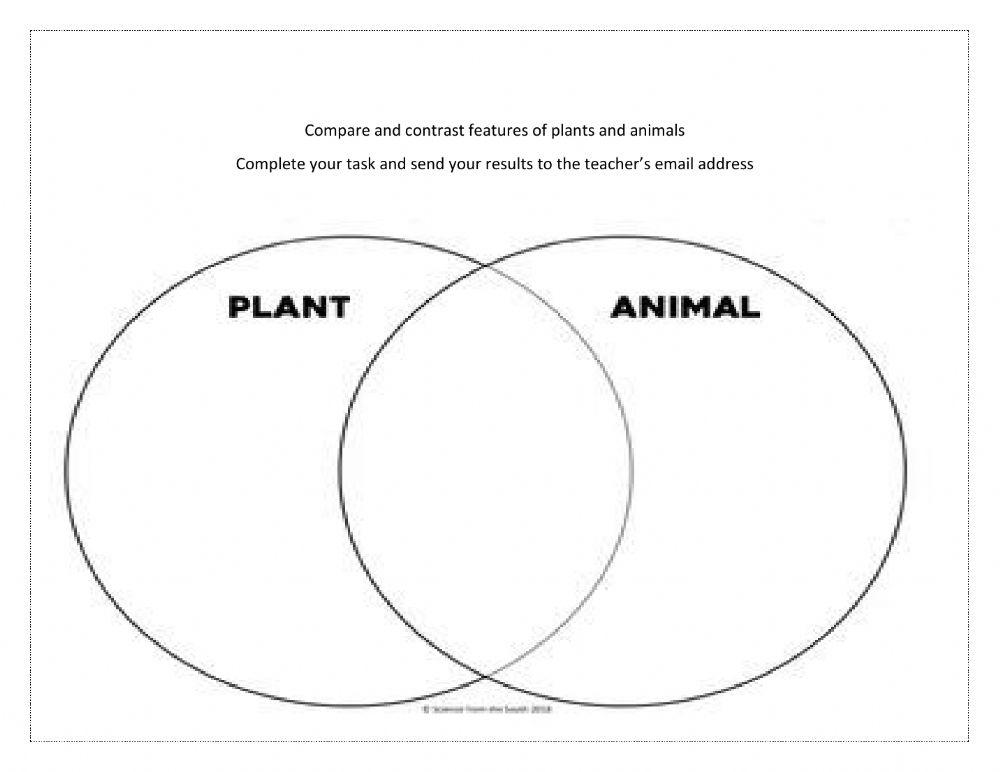 Compare and contrast animal and plant