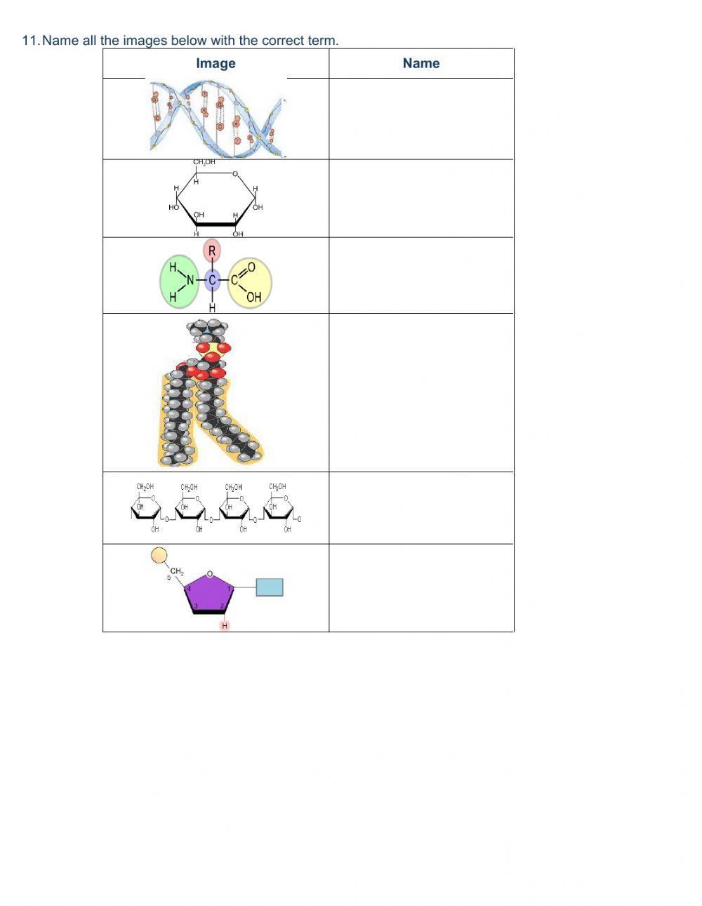 Gr. 10 Carbon Chemistry & Macromolecules