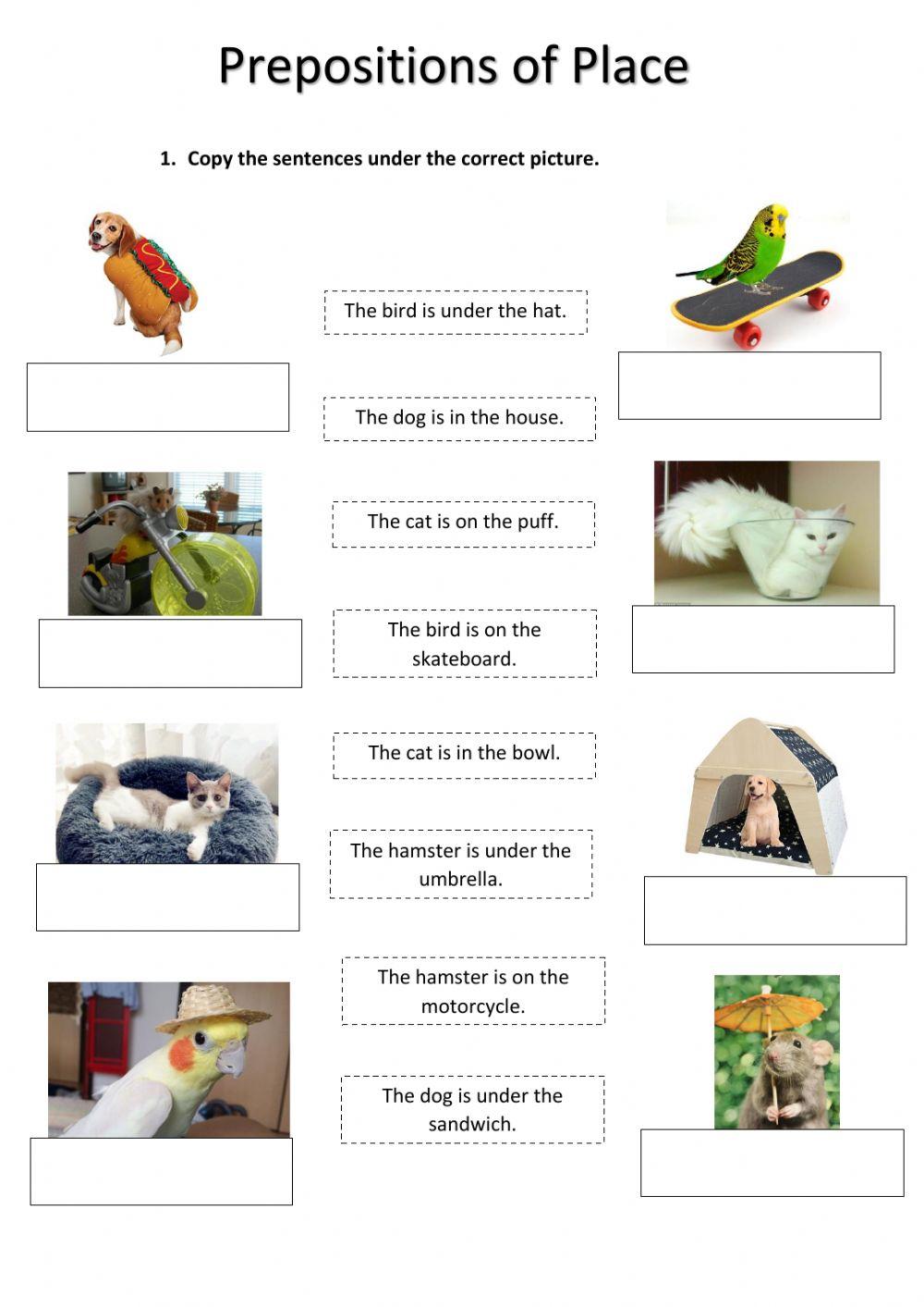 Prepositions of place