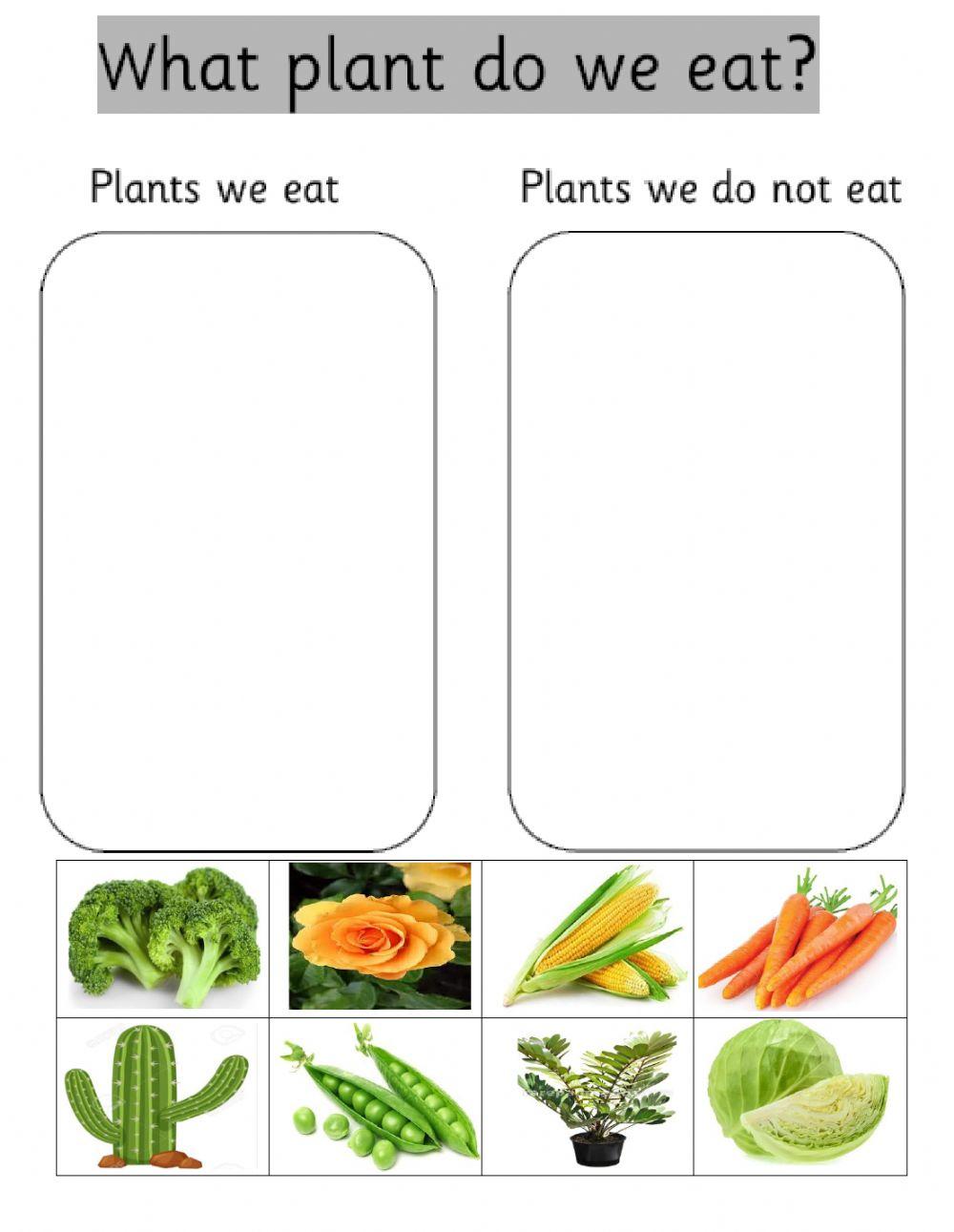 Plants eaten and not eaten