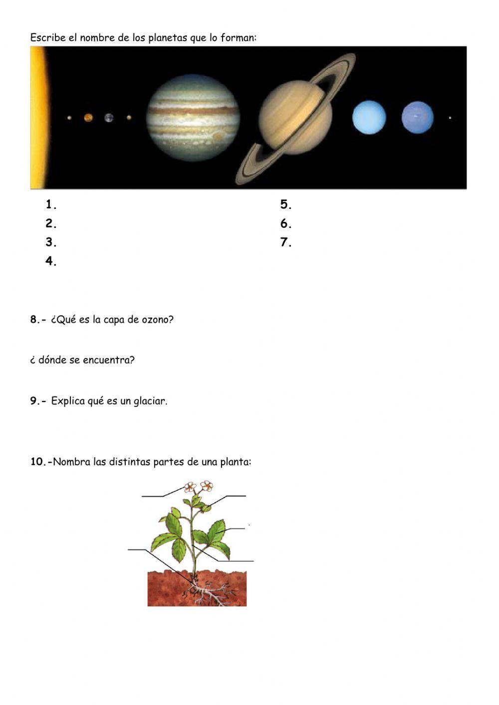 Prueba inicial de contenidos 1º ESO