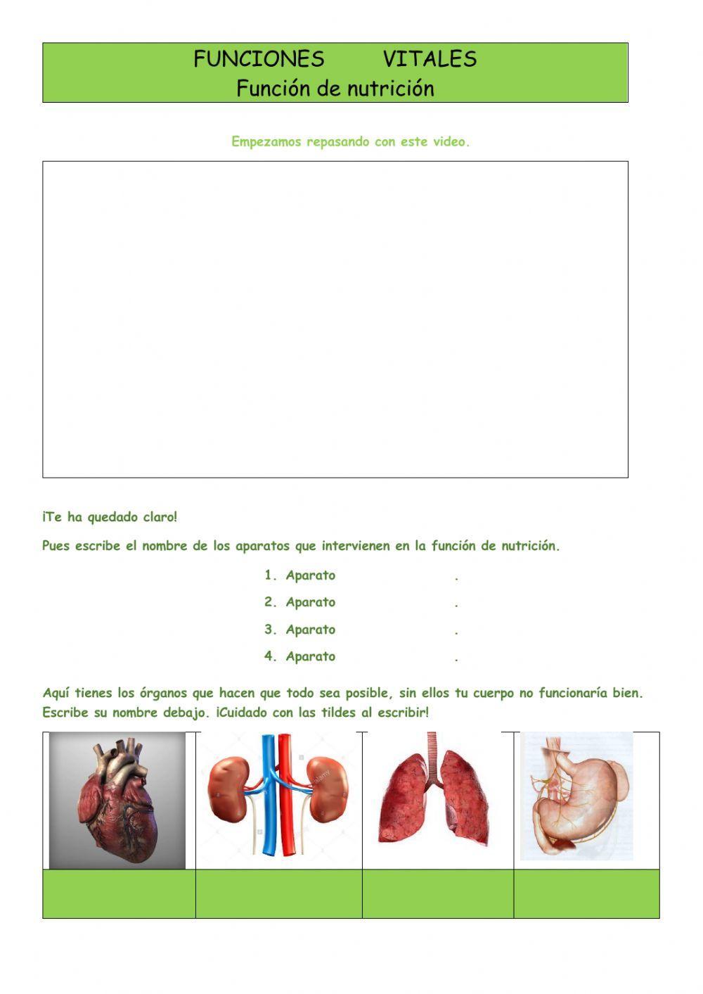 Función de nutrición