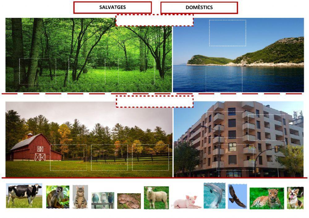 Animals salvatges o domèstics?