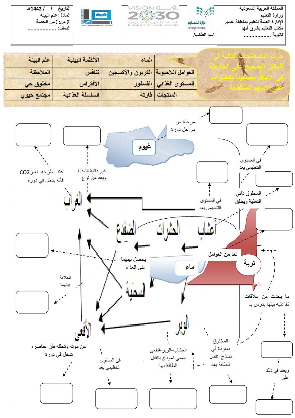 نموج الفصل الأول2
