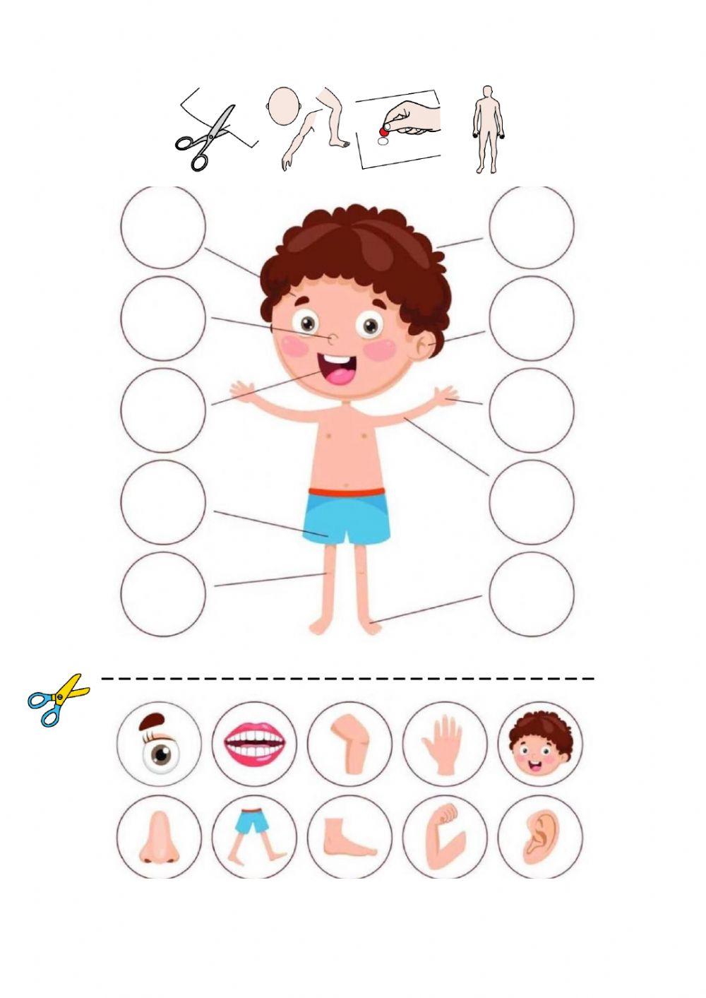 Evaluación inicial 2º parte
