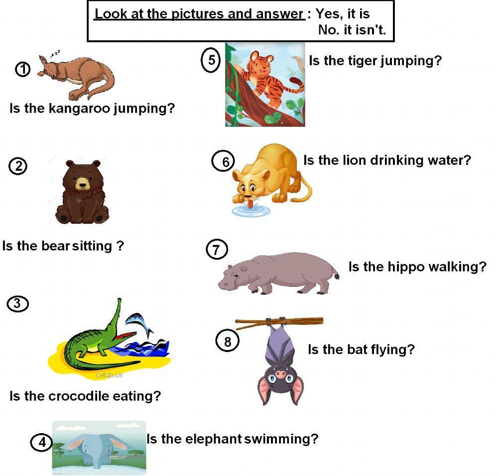 Wild animals- Yes, it is. No, it isn't.