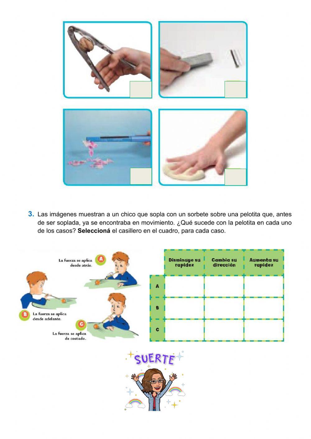 La diversidad de las fuerzas