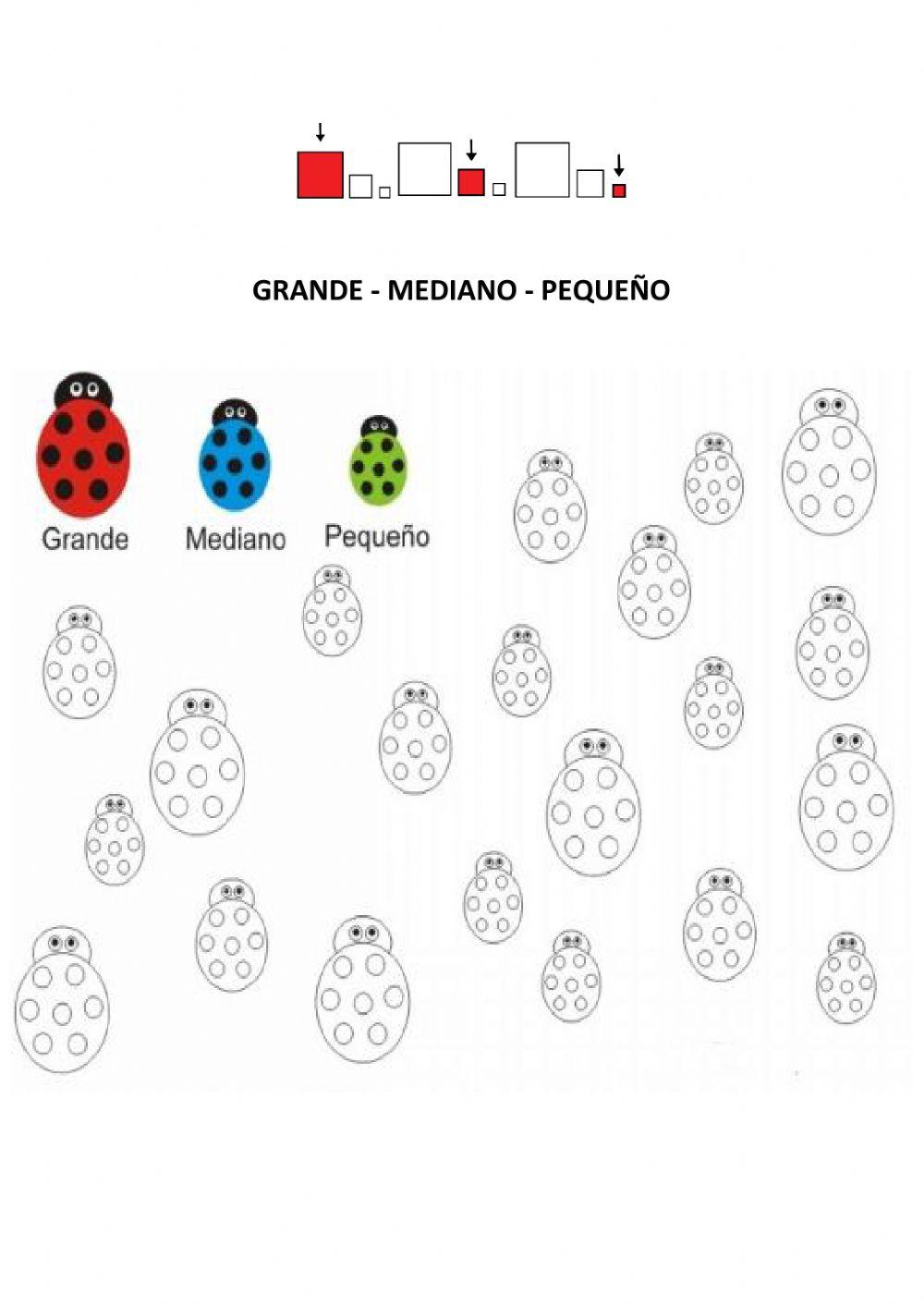 Evaluación inicial Mariam