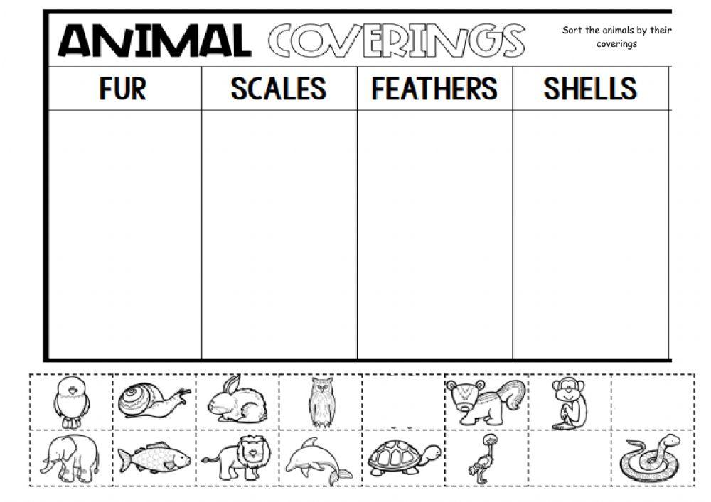 Animal body Coverings