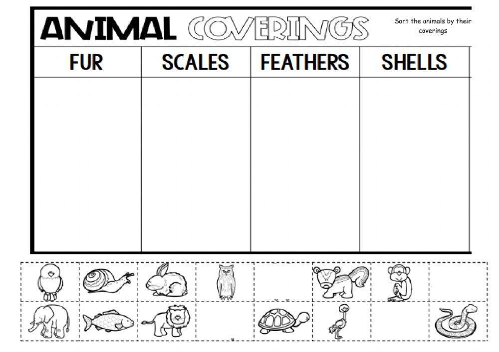 386186 Animal body Coverings monamosman1