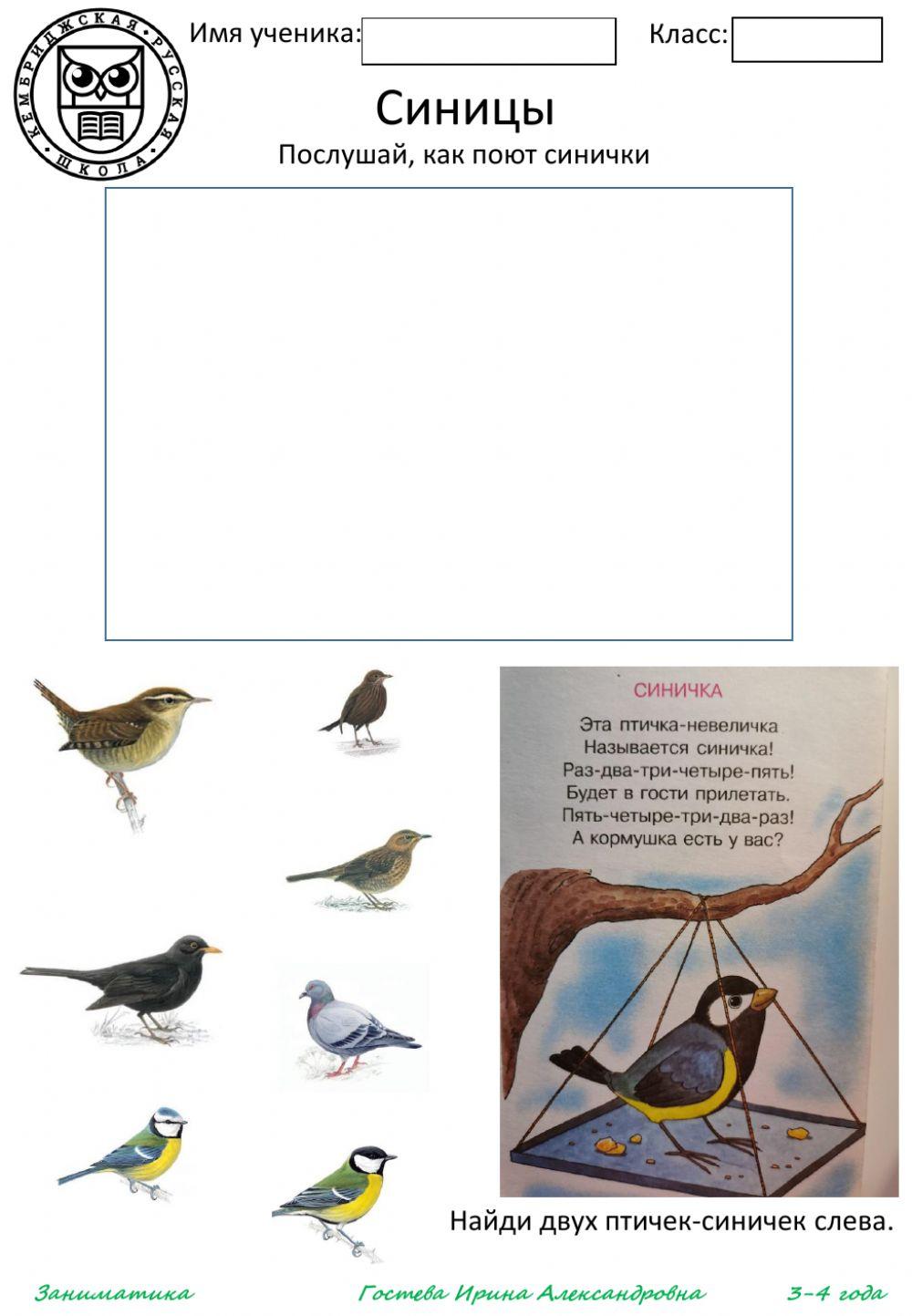 Птичка-синичка