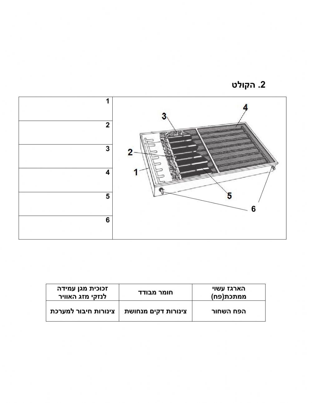 מבנה דוד וקולט