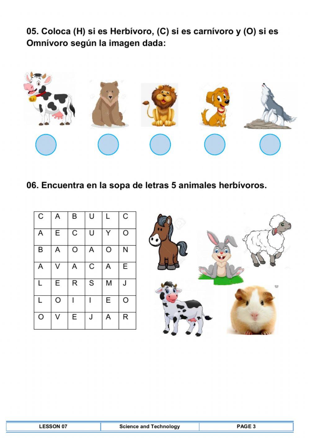 Animales según su alimentación