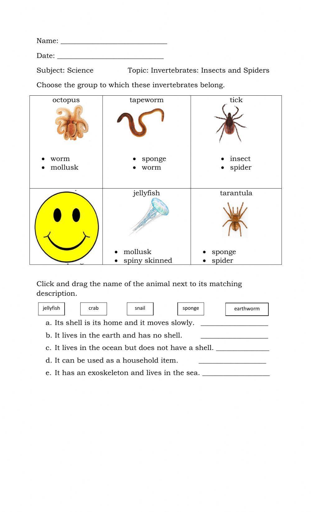 Invertebrates: Insects and Spiders