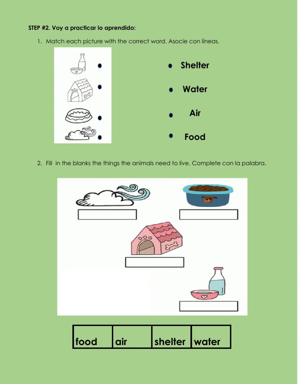 Ficha Virtual  4 - Task 4 - Second Grade - Animals Needs 