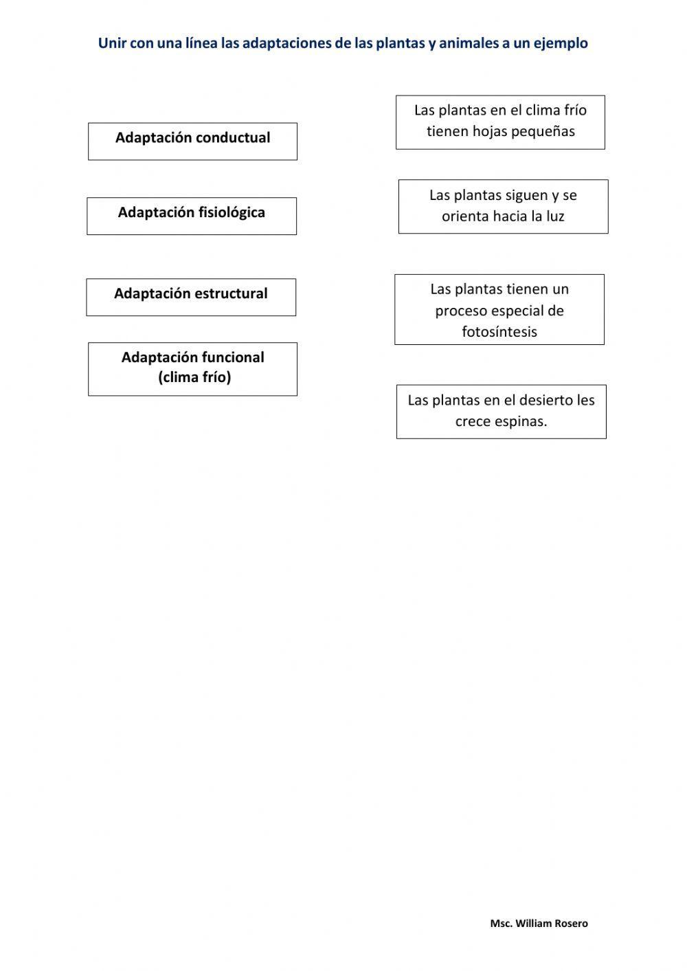 Adaptaciones de plantas y animales